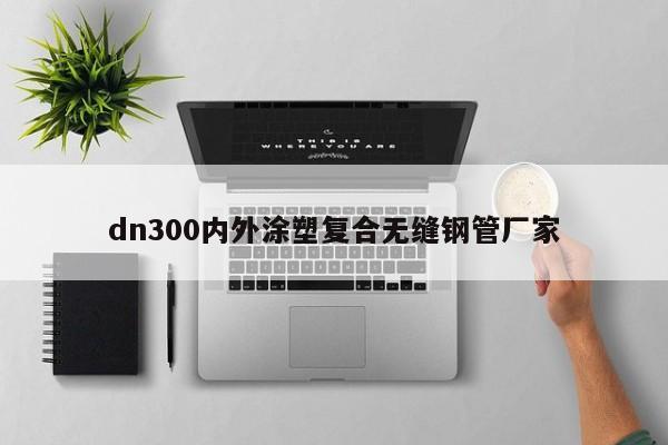 dn300内外涂塑复合无缝钢管厂家